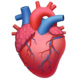 coração humano emoji - fundo coração rosa